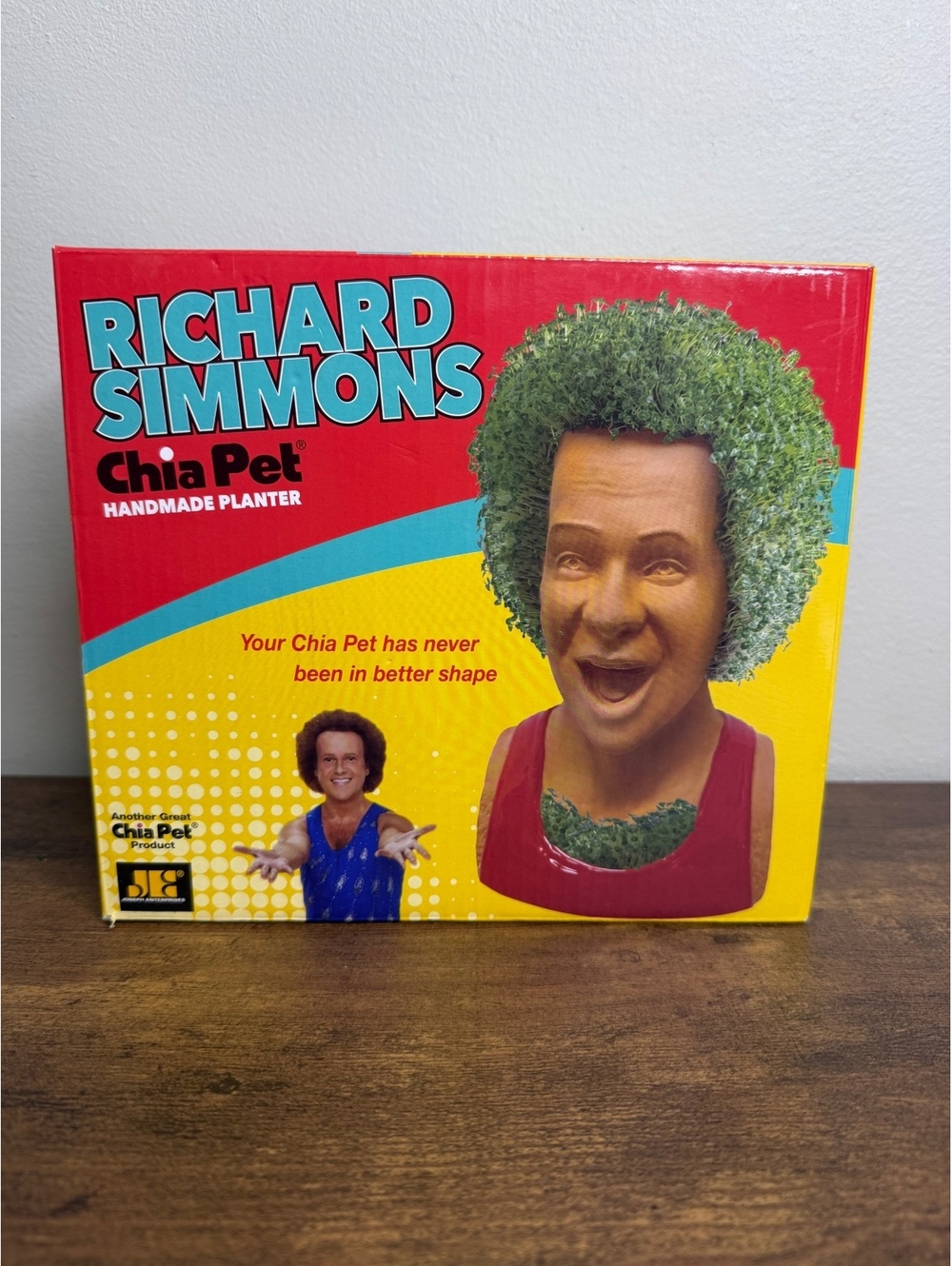 NIB Richard Simmons Chia Pet